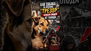 Как собака по кличке Трезор спасал людей от голода. #животные