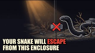 Mexican Black King Snake Care: The Ultimate Beginner's Guide
