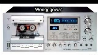 Download Lagu Elvy Sukaesih Tanda merah MP3