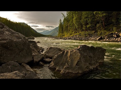 relaxing-nature-sounds-of-a-soothing-waterfall-with-forest-bird-song-calm-relaxation-&-sleeping