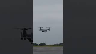 Osprey and Chnook
