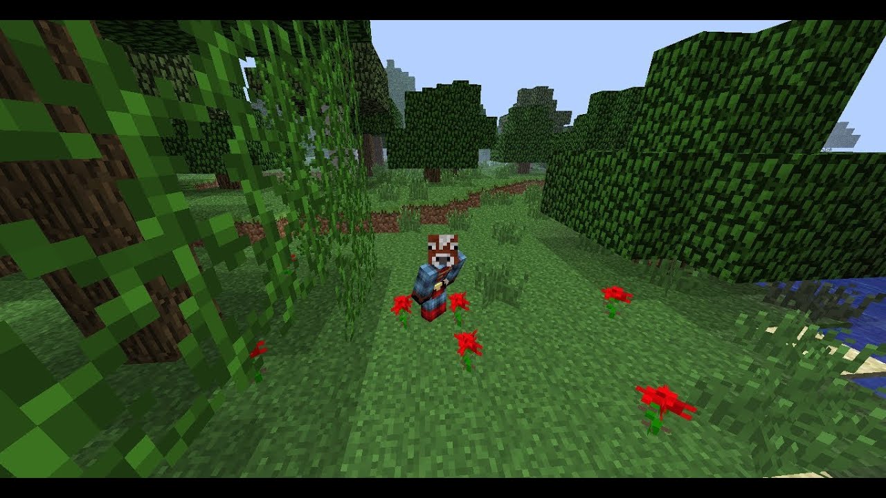 Minecraft, Miley Cyrus Style! YouTube