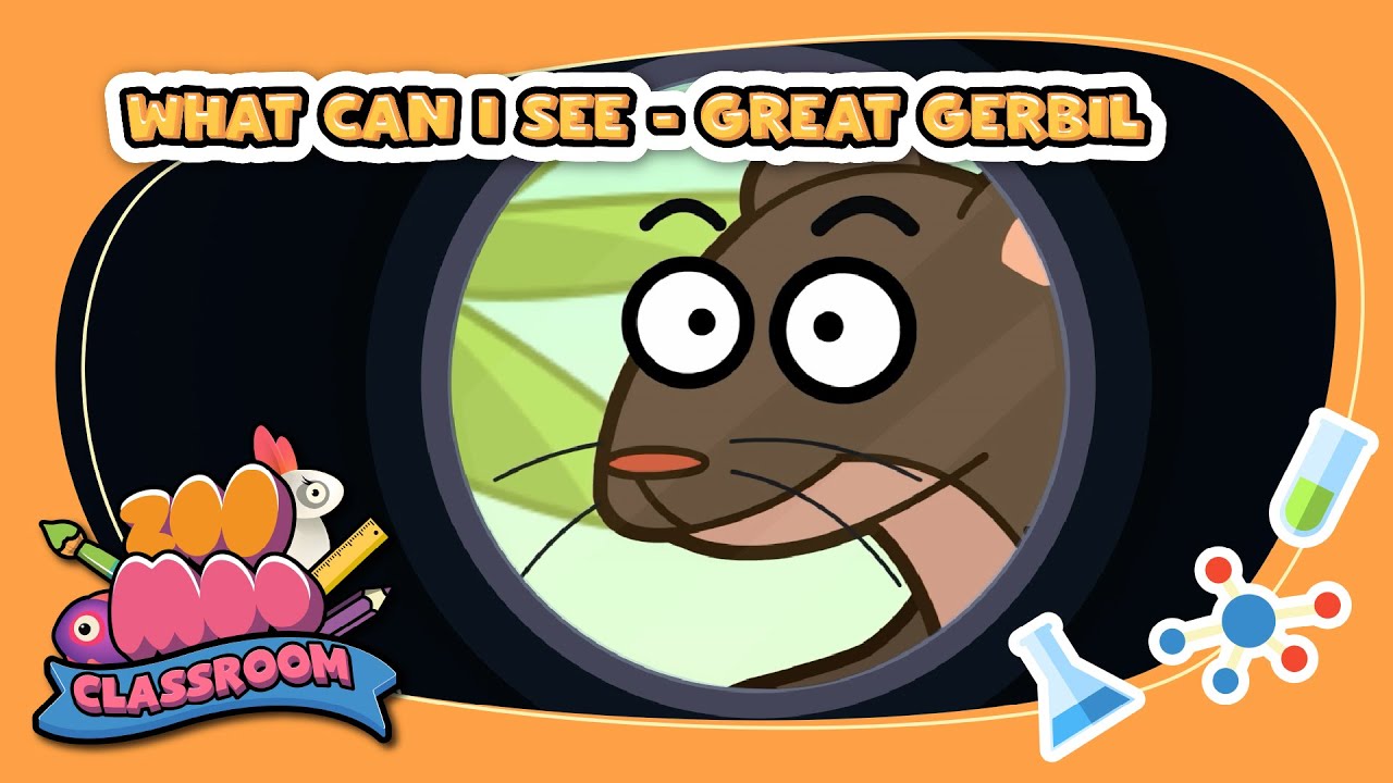 Let's play I SPY!  ⁨@ZooMoo⁩  | #kidslearning #kidsgames