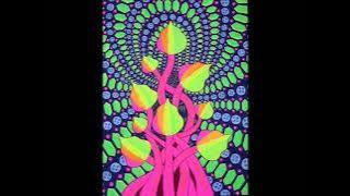 Soundreamer - Diskotek