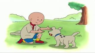 |36| Caillou köpeğiyle geziyor《CaillouTV》