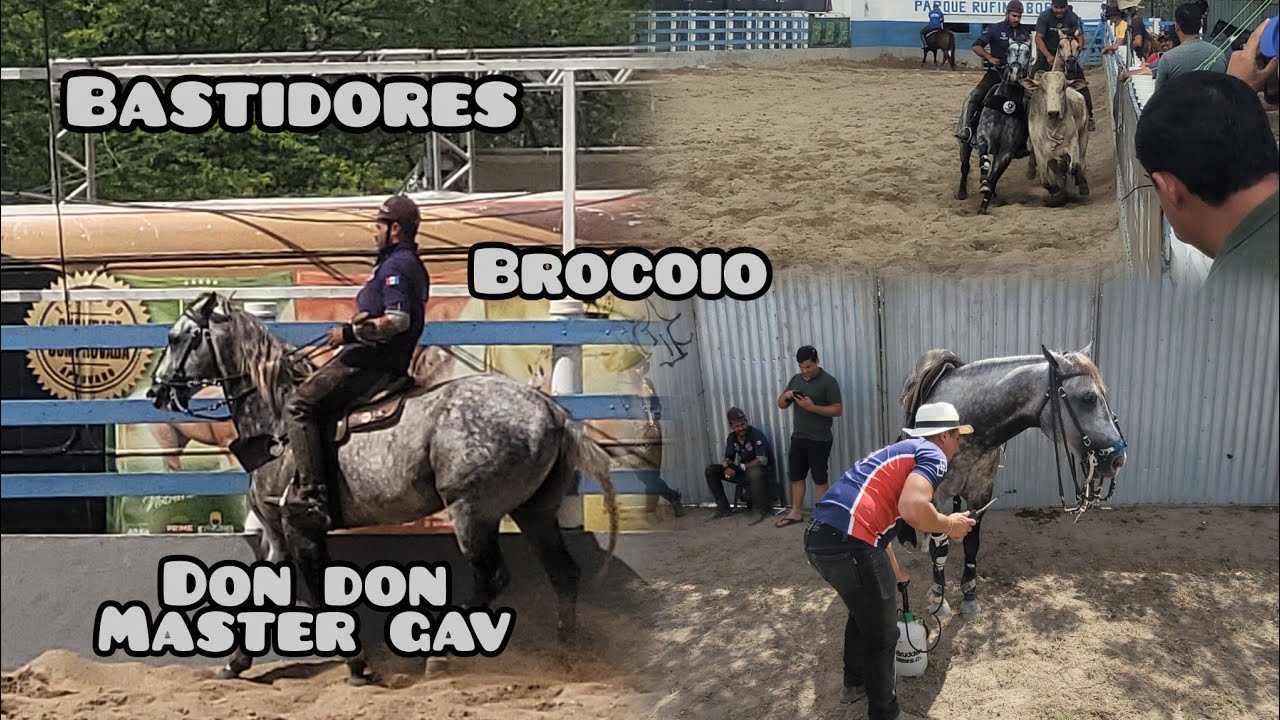 VEJA APRESENTAÇÃO DE BROCOIO NO PARQUE RUFINA BORBA CAMPEONATO PORTAL 2025
