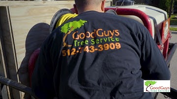 Good Guys Tree Service Deep Root Fertilization