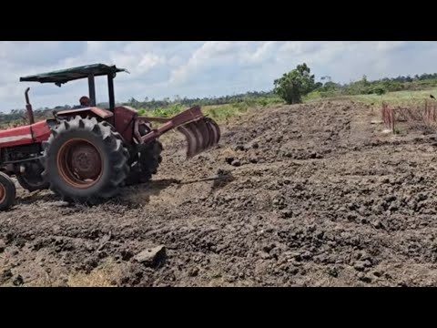 Update On Yakasari Burial Ground Development 