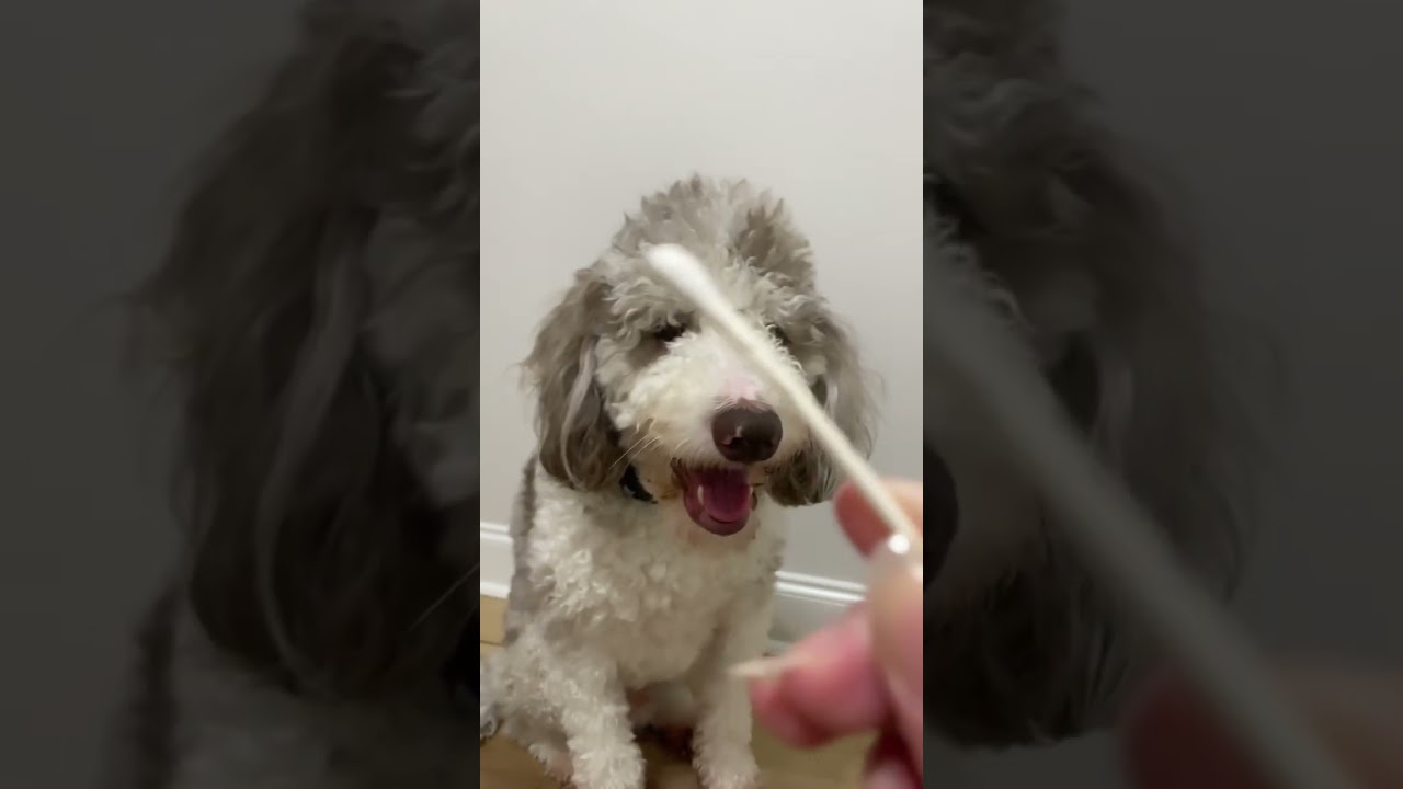 I mean, it’s true 🤷🏻‍♀️😅￼ 