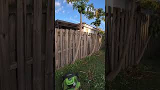 JUST A LIL GREENWORKS HELP #world #subscribe #motivation #views #workhard