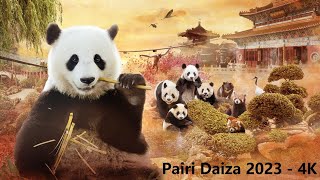 Pairi Daiza 2023 (4K)      De grootste én mooiste dieren 'Tuin der werelden' !