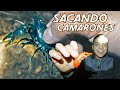 SACANDO Y COCINANDO CAMARONES DE ESTERO EN LA NOCHE - Cocina Rustica/Acampando solo | Dorhunt