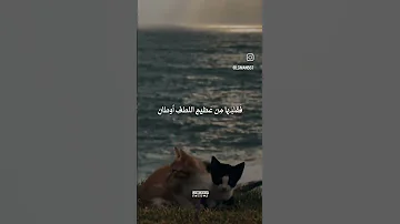 أحب أختي بلا قصد ومصلحة أجمل حالات بدون موسيقى عن الأخت 