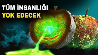 İnsanlığın Sonunu Getirebilecek En Ürkütücü Keşifler