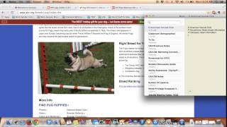 DigitalTutorial OPVL