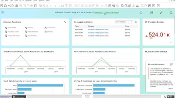 SAP Business One Demo - Multiple Legal Entities