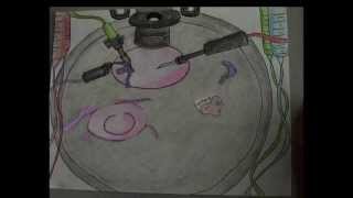 Patch Clamp by Jezabel Meza, Ishita Gupta and