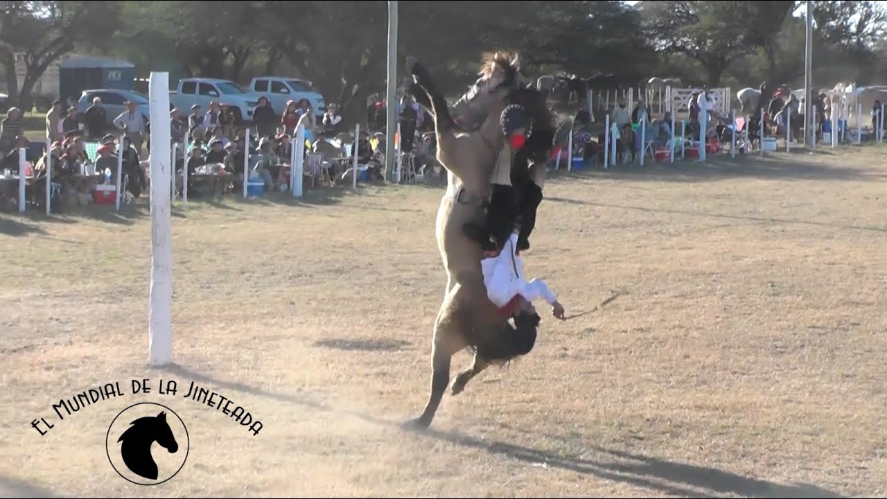Primera fecha campeonato cordobés para Jesús María en Noetinger - El Mundial de la Jineteada 173