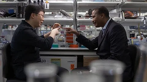 The gene editing tool that could treat hereditary ...