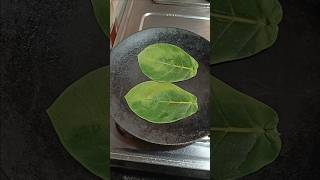 New Aankh (अकवन) आंक ke Patte ki Useful Tips by Rajiv Dixit ji | fresh alovera benefits #shorts