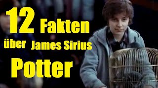 12 FAKTEN über JAMES SIRIUS POTTER ✨