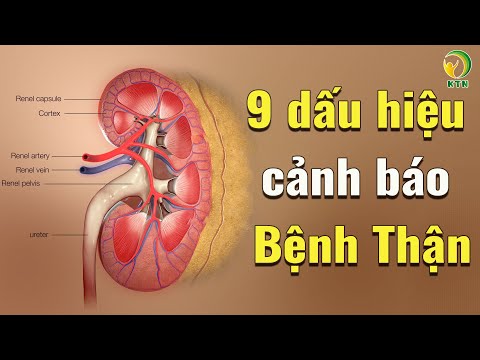 Video: Cách Nhận Biết Bệnh Của Thì Là? Phần 2