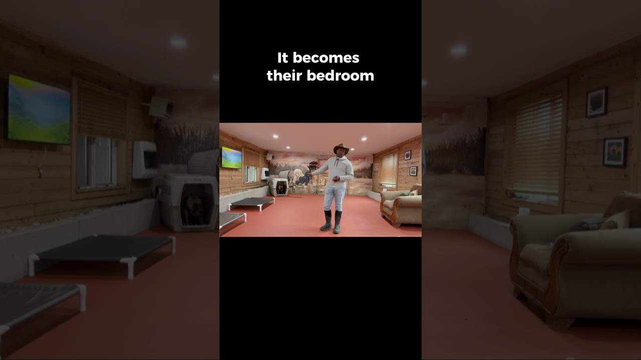 My dog destroyed my house!