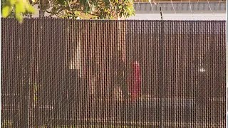 Sterling High School student Aundre Matthews transferred to Harris County Jail