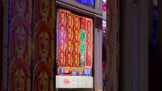 417X BONUS!!!! King of Africa Slot #slotman777 #casino #shorts #win #wow #omg