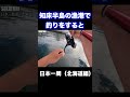 知床半島の漁港がやばかった　＃shorts