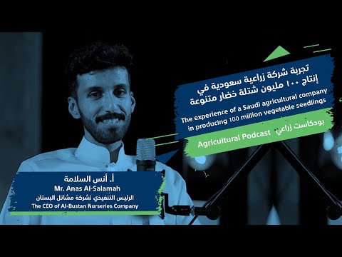 تجربة شركة زراعية في إنتاج 100 مليون شتلة خضار  100