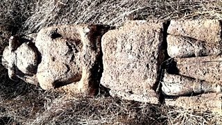 видео: Вытащило трактором, что то непонятное. Топ находок. картинка: Вытащило трактором, что то непонятное. Топ находок.