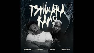 Poobington - Tshwara Kamo (Official Audio)