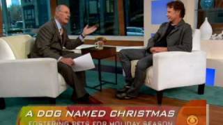 Bruce Greenwood on Fostering Pets
