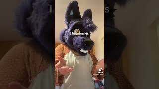 Then why do you interact with them #furries #fandom #fursuit #tiktok #fursuitfriday