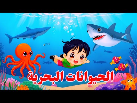 أسماء الحيوانات البحرية باللغة العربية       استكشاف عالم البحار