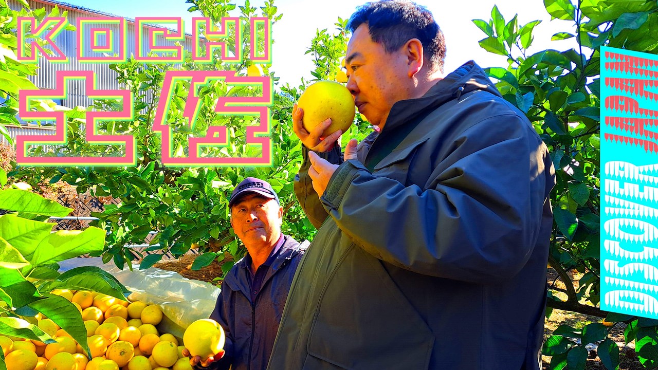 【ドラゴンの街⁉︎】伝統と郷土料理が盛りだくさん‼︎恵みの土佐旅〈旅人・塚地武雅〉