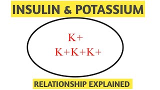 Insulin and potassium relationship (glucose and potassium relationship)