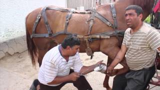 Roma Crafts - Blacksmith