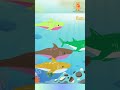 Baby Shark Dance | Fun Animal Song for Kids | Doo Doo Doo 🎶✨ #toddlerfun #nurseryrhymes