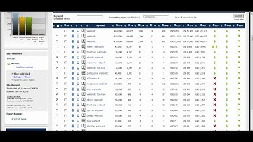 DWS SEO Management - Advanced Silo Management Function