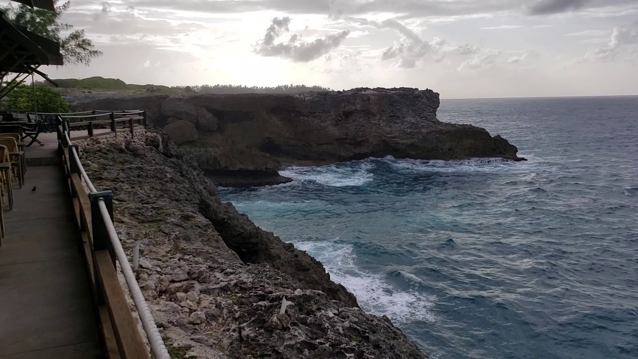 Animal Flower Cave Restaurant, North Point, St. Lucy, Barbados YouTube