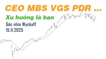 CEO MBS VGS PDR... "Xu hướng là bạn" | Góc nhìn Wyckoff | ĐÁNH GIÁ CỔ PHIẾU 15.11.2025