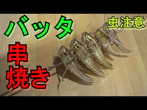 【虫嫌い注意】バッタ捕まえて串焼きにして食べるぞ！