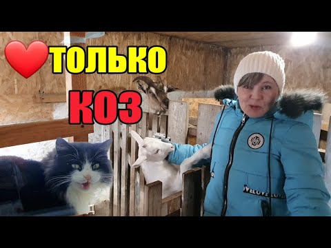 Продали квартиру и уехали в деревню》Часть первая