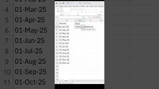 EOMONTH formula| how to used eomonth formula in Excel| Advanced Excel formula|@excelxyz