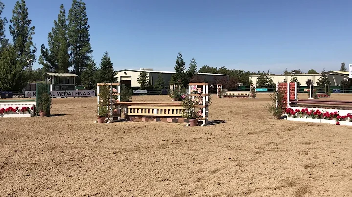 Theodore x Andrea Correll Performance Hunters 3'3 ...