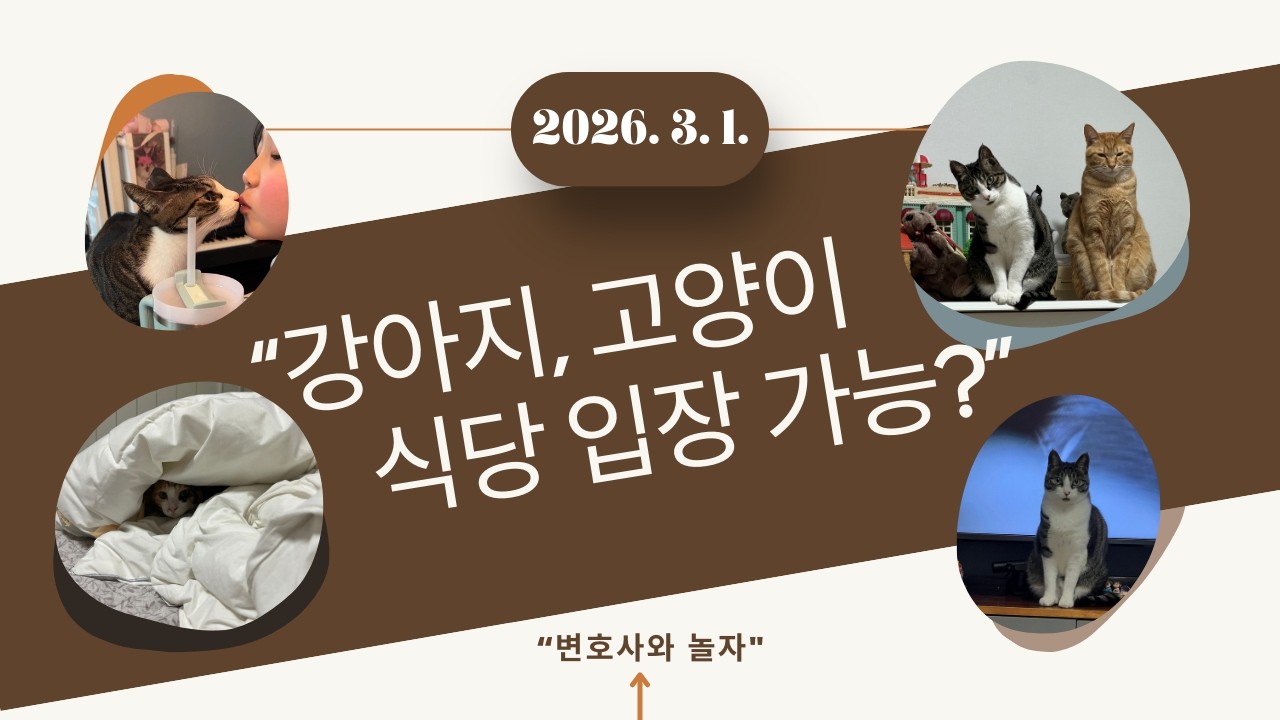 「사장님이 강아지 출입 거부했어요… 불법인가요?” — 3월 1일 식품위생법 완전 정리」