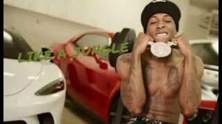 NBA Youngboy - Like A Jungle (Outnumbered)