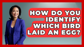 How Do You Identify Which Bird Laid An Egg? - Bird Watching Diaries